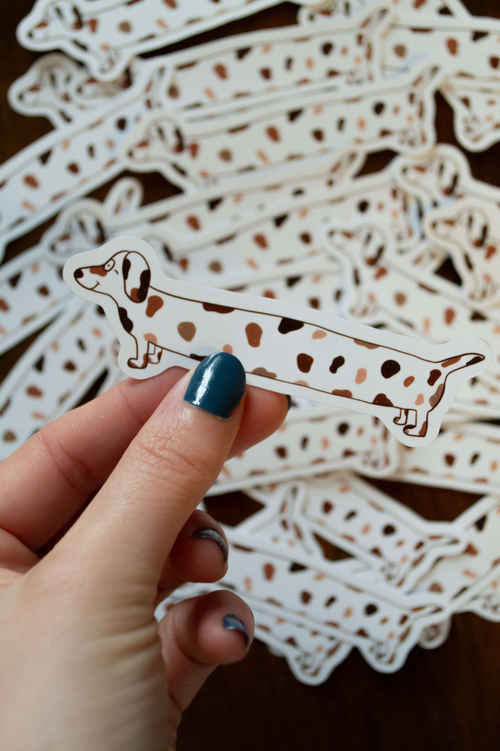 autocollant chien saucisse