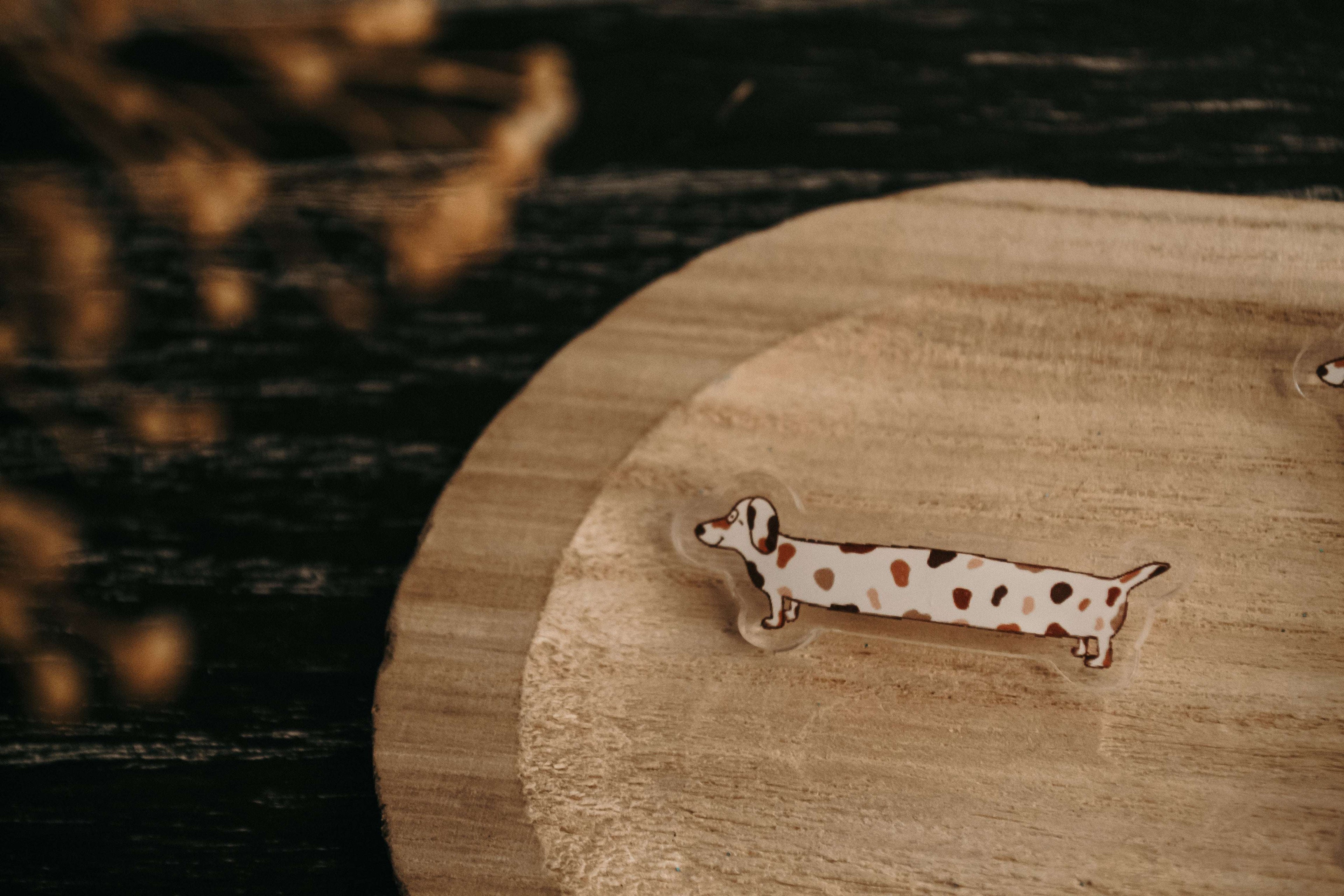 badge chien saucisse avec support en bois et fleurs séchées