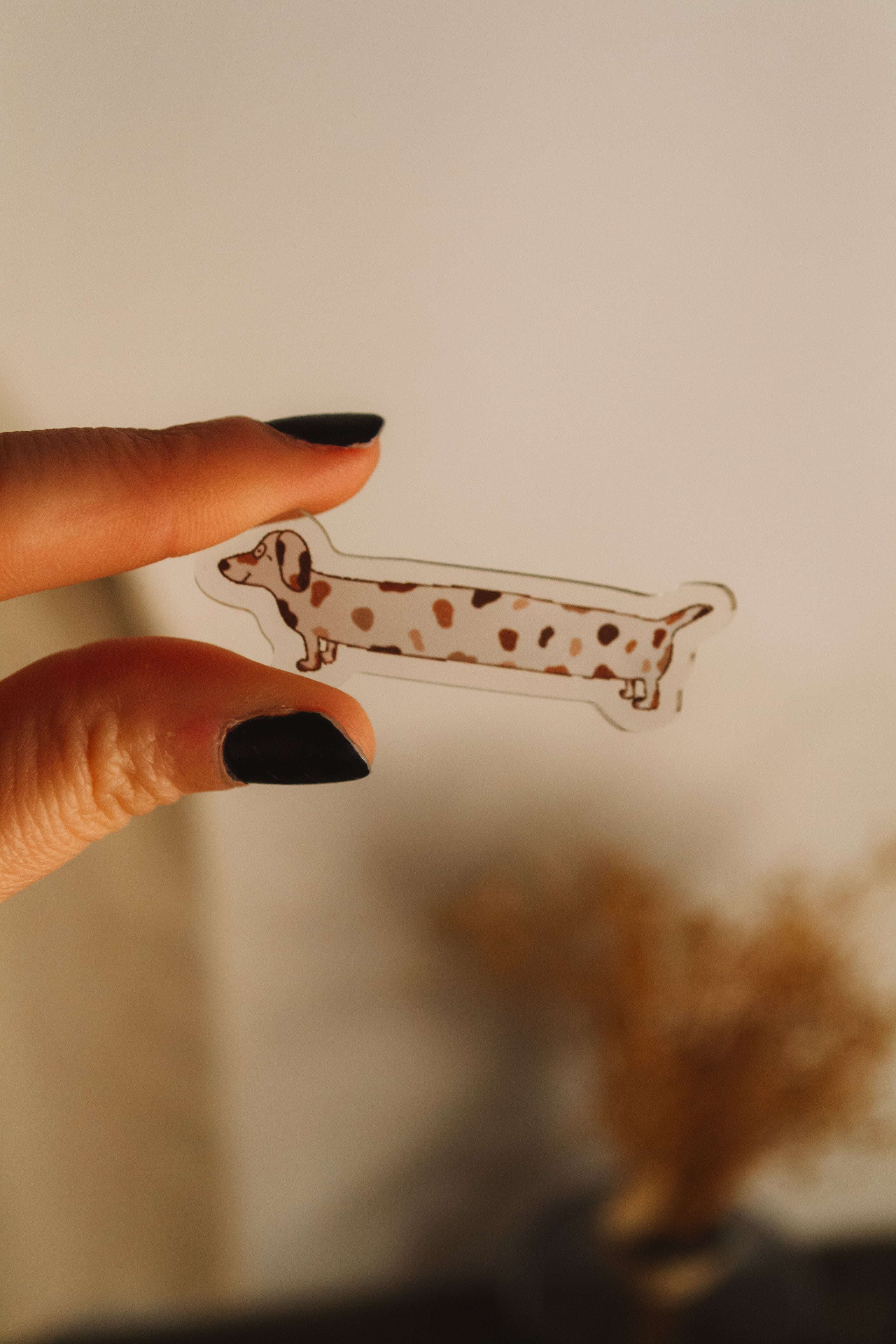 main qui tient pins chien 