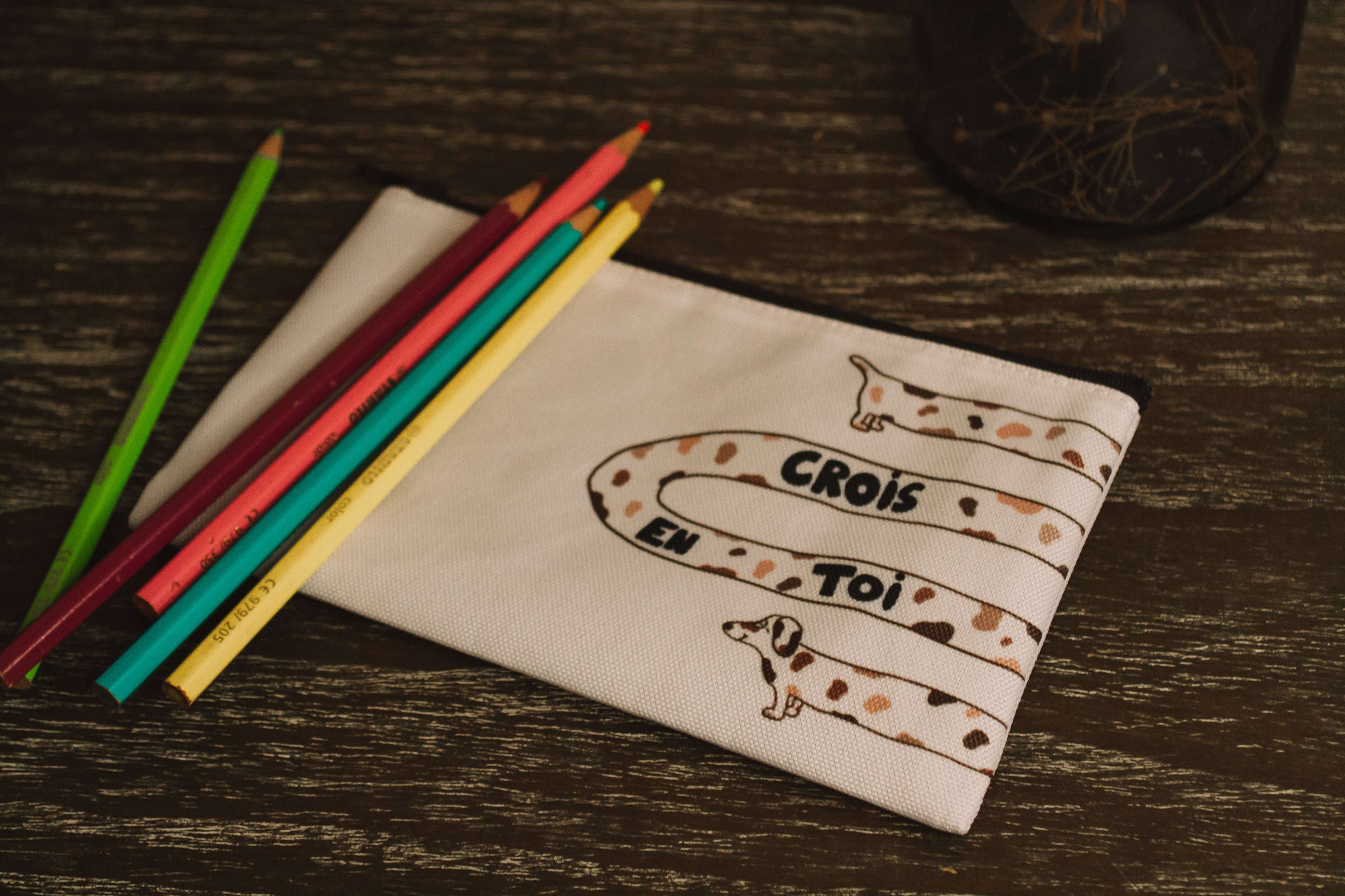 zoom trousse avec un chien écrit crois en toi et crayon de couleur